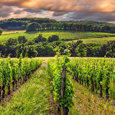 Holiday home Pet Friendly In