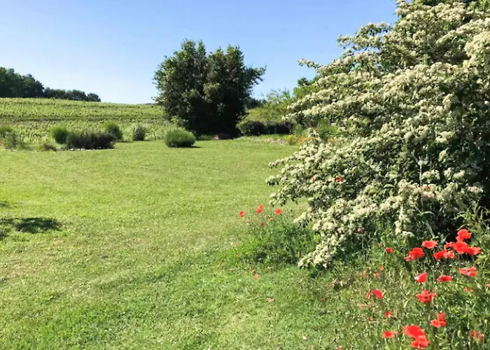 Holiday home Pet Friendly In *